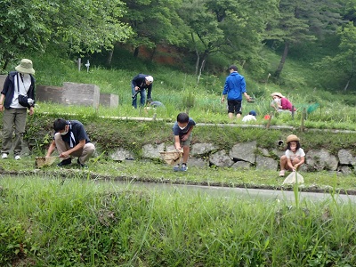 田植えやりました
