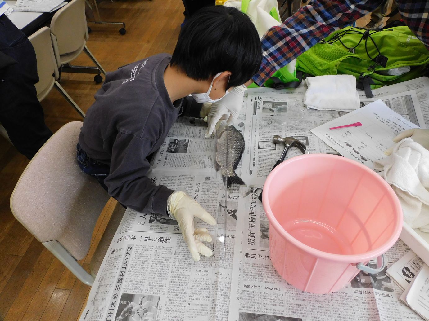 「おさかなの体しらべ」実施しました。