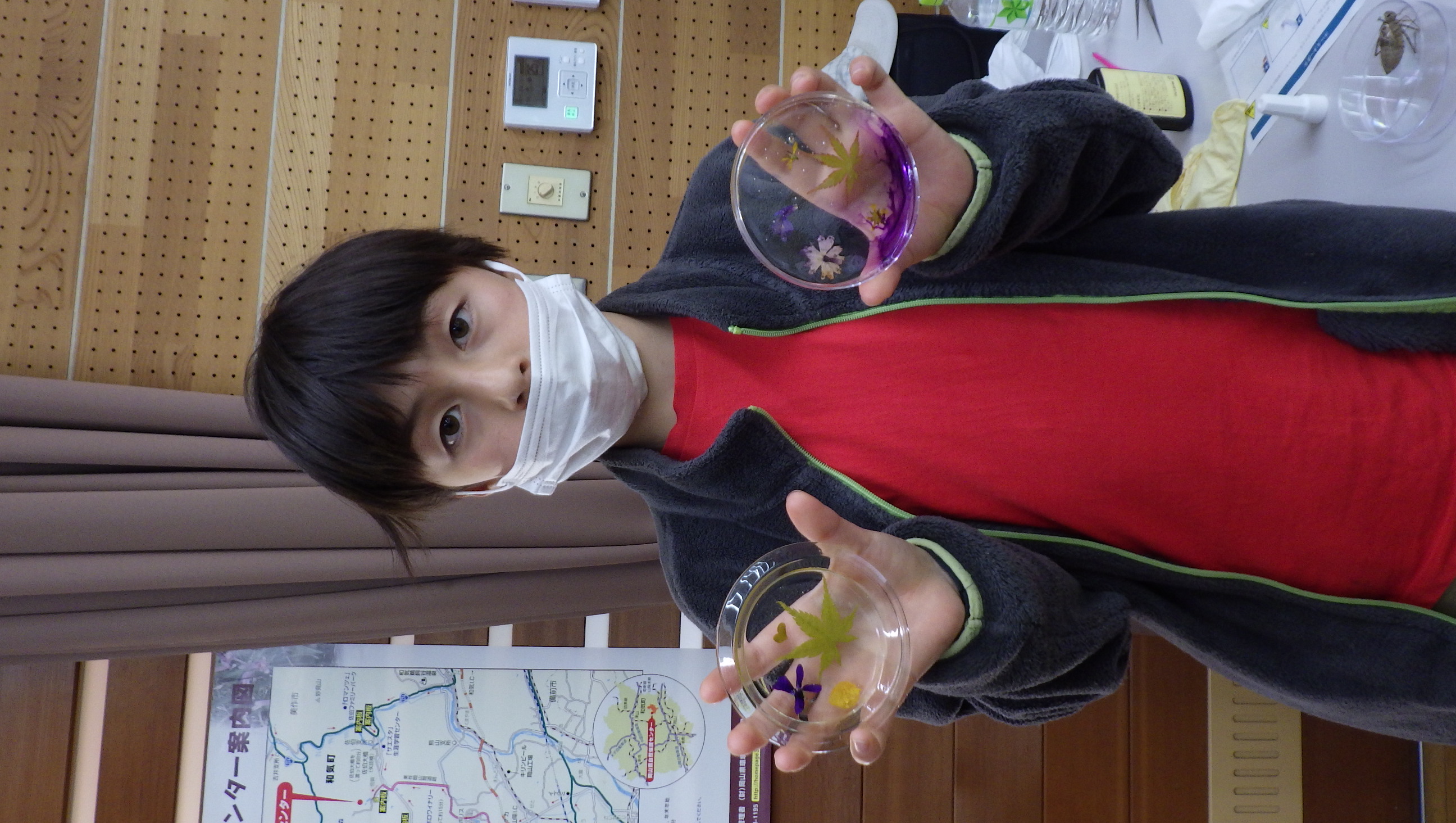 お父さんとお子さんで野草のコースターを作ろう