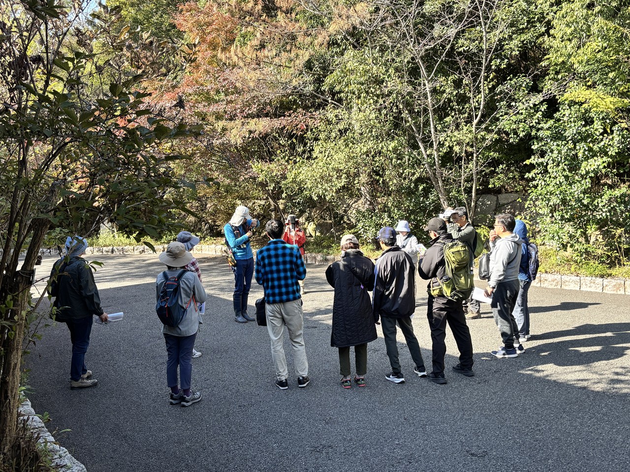 観察イベント「どんぐりと果実」実施しました！