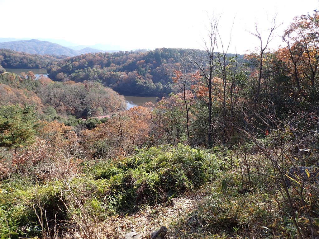 見晴らし台の維持管理作業を行いました！