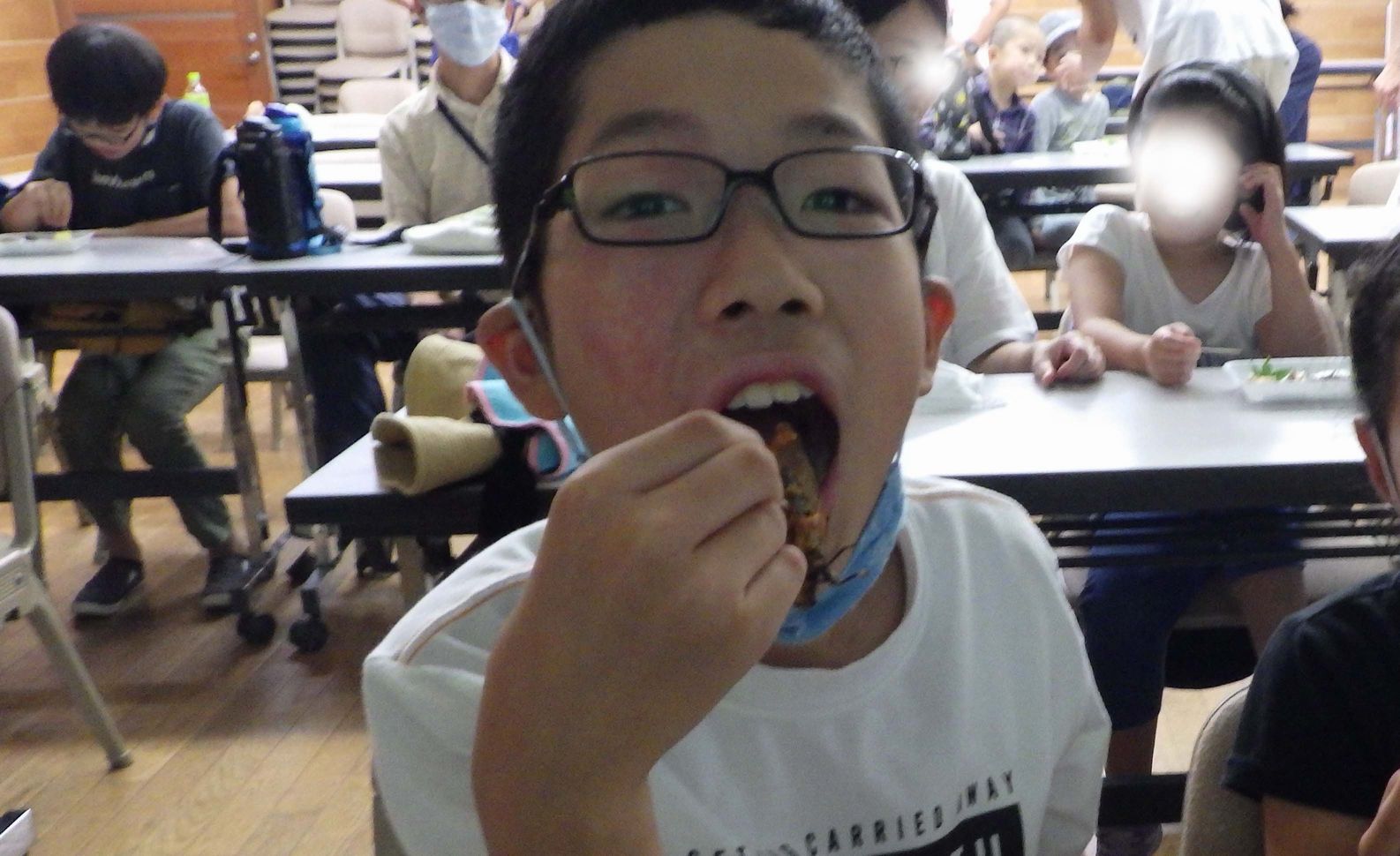 昆虫食、みんなで食べれば怖くない(セミ編)
