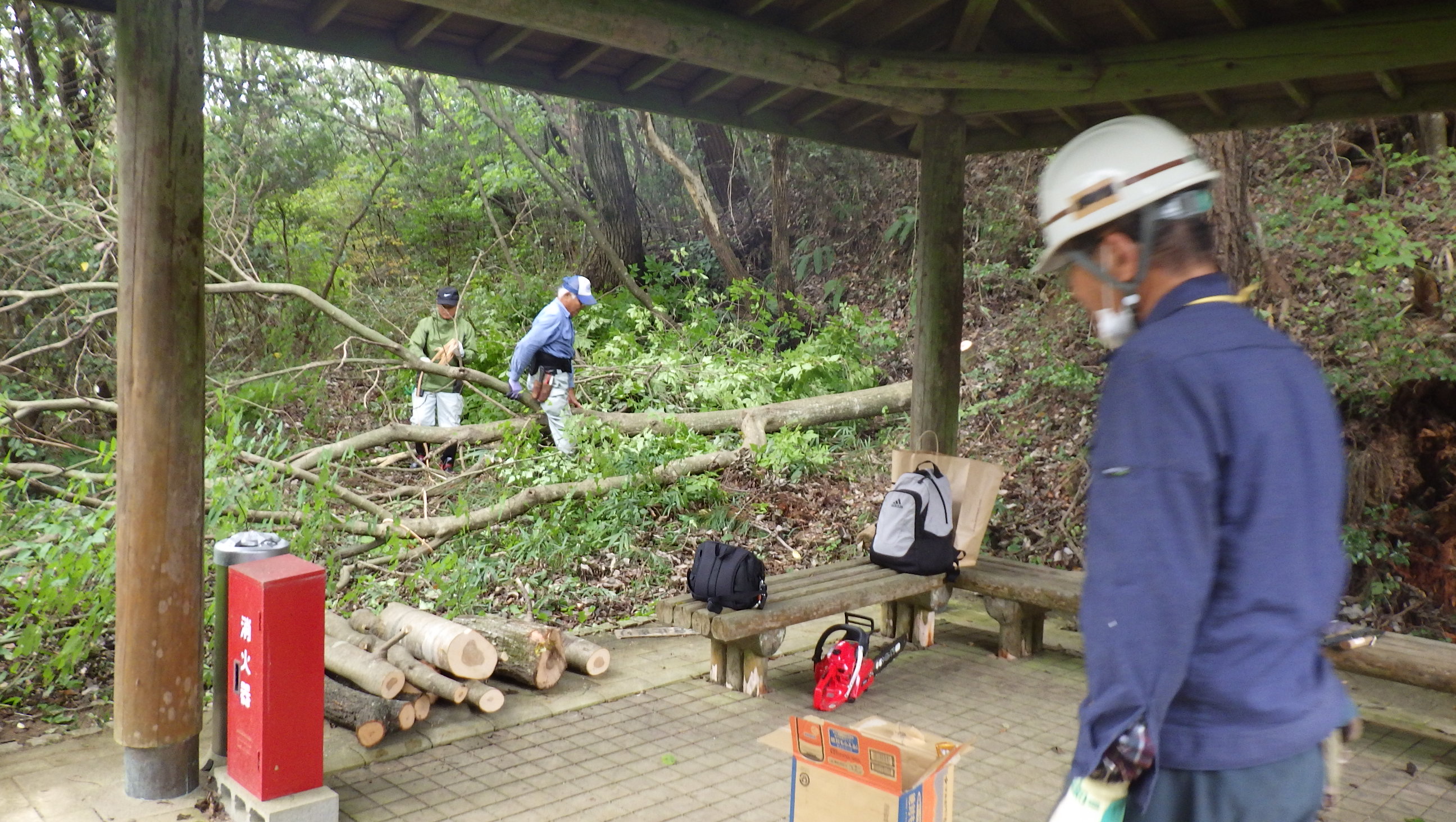 湿原の草取りpart2～ハンノキの伐採と抜き取り及び東屋付近の整備～