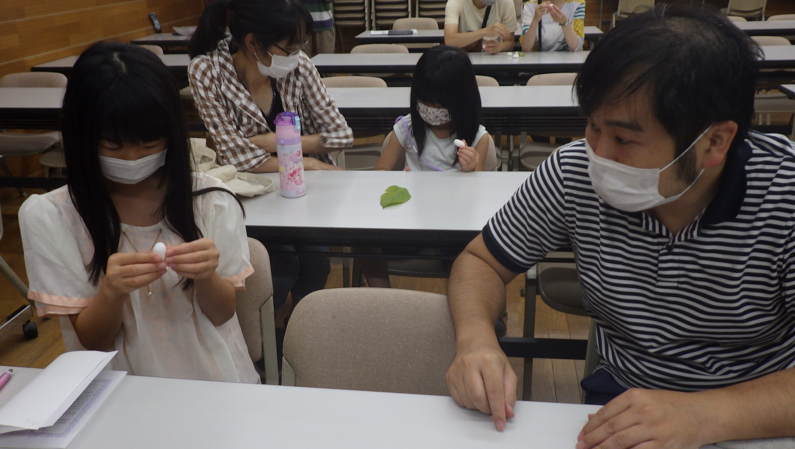 マユから糸をつむぎましょう！