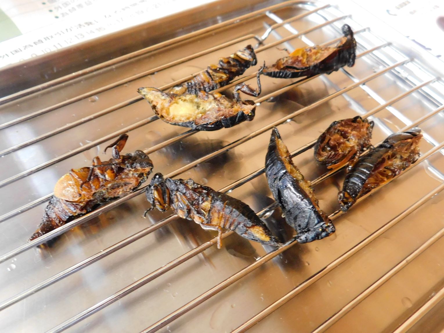 「今年の夏はセミグルメ!」実施しました。