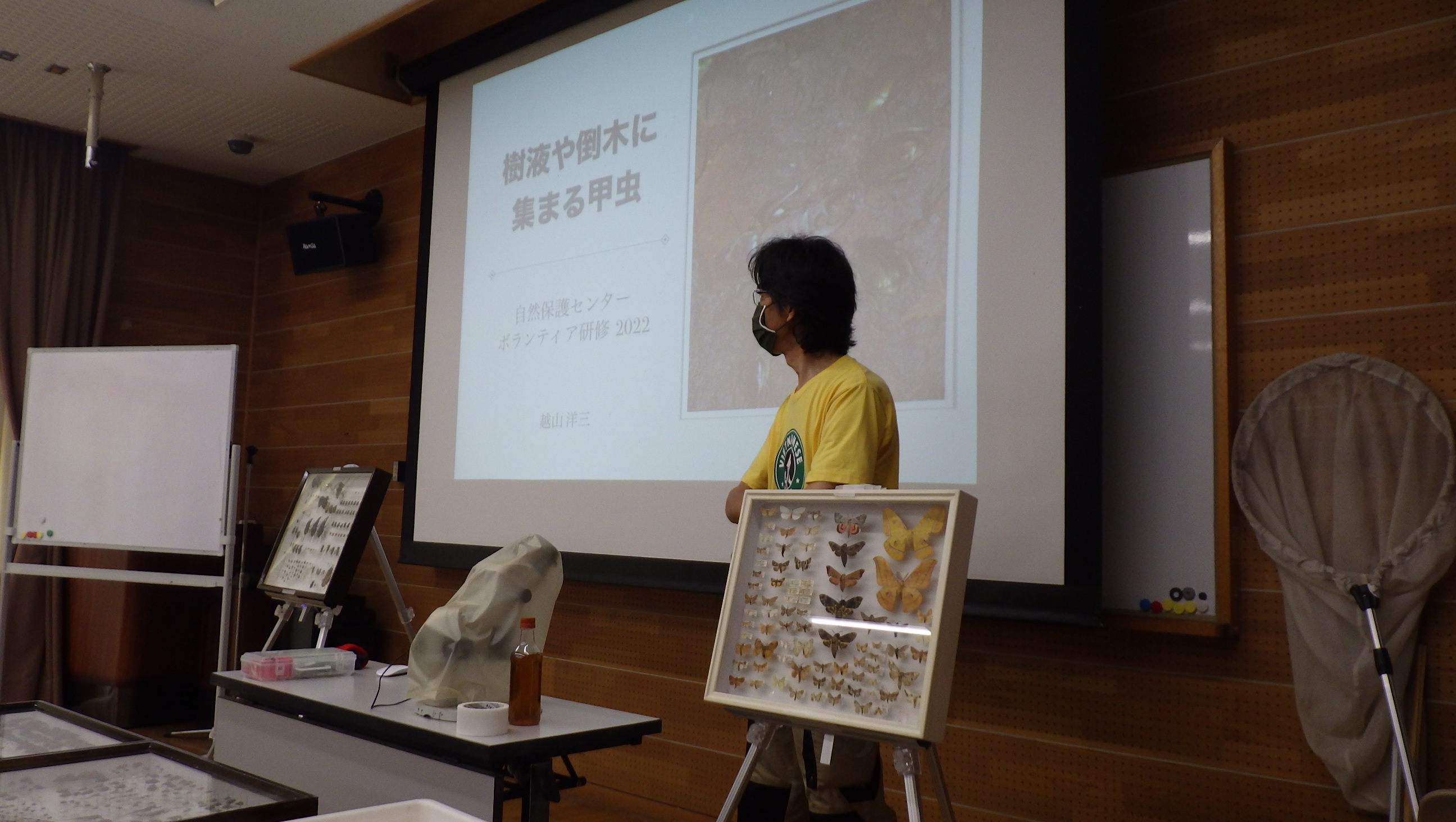 ボランティア研修会「樹液や倒木に集まる甲虫」