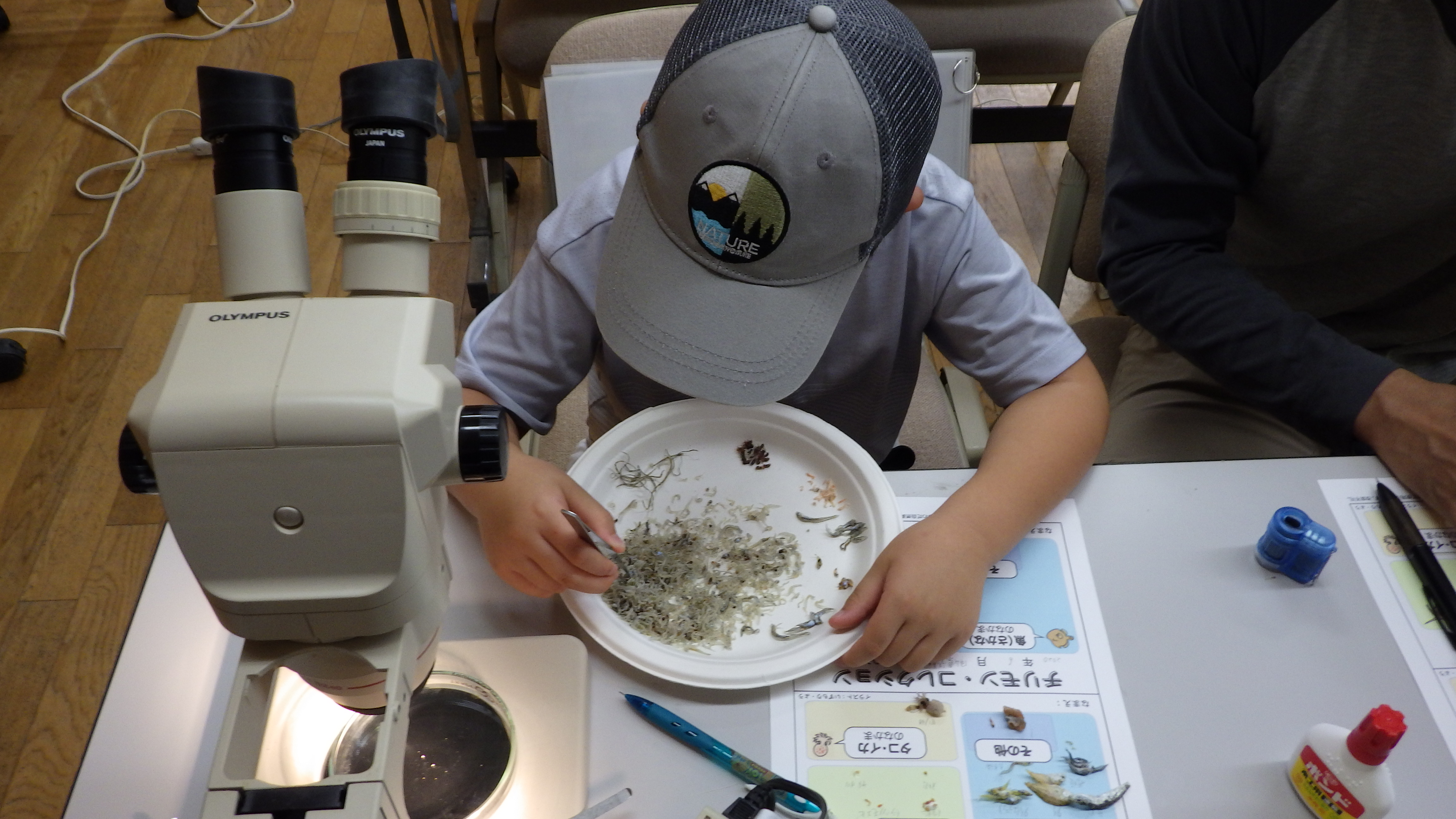 チリメンモンスターを探せ！