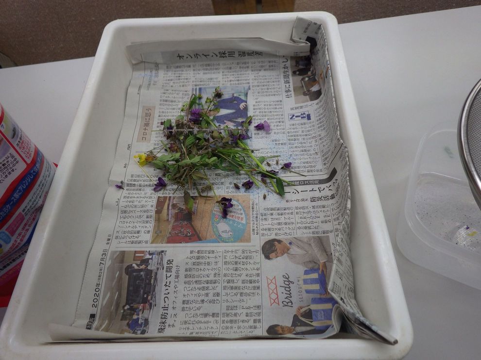野草のハーバリウム作り