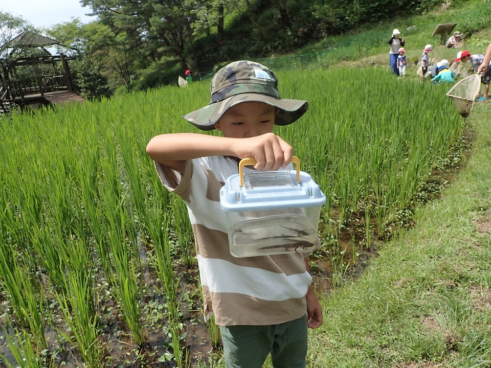 水の中の生きもの探しまくり
