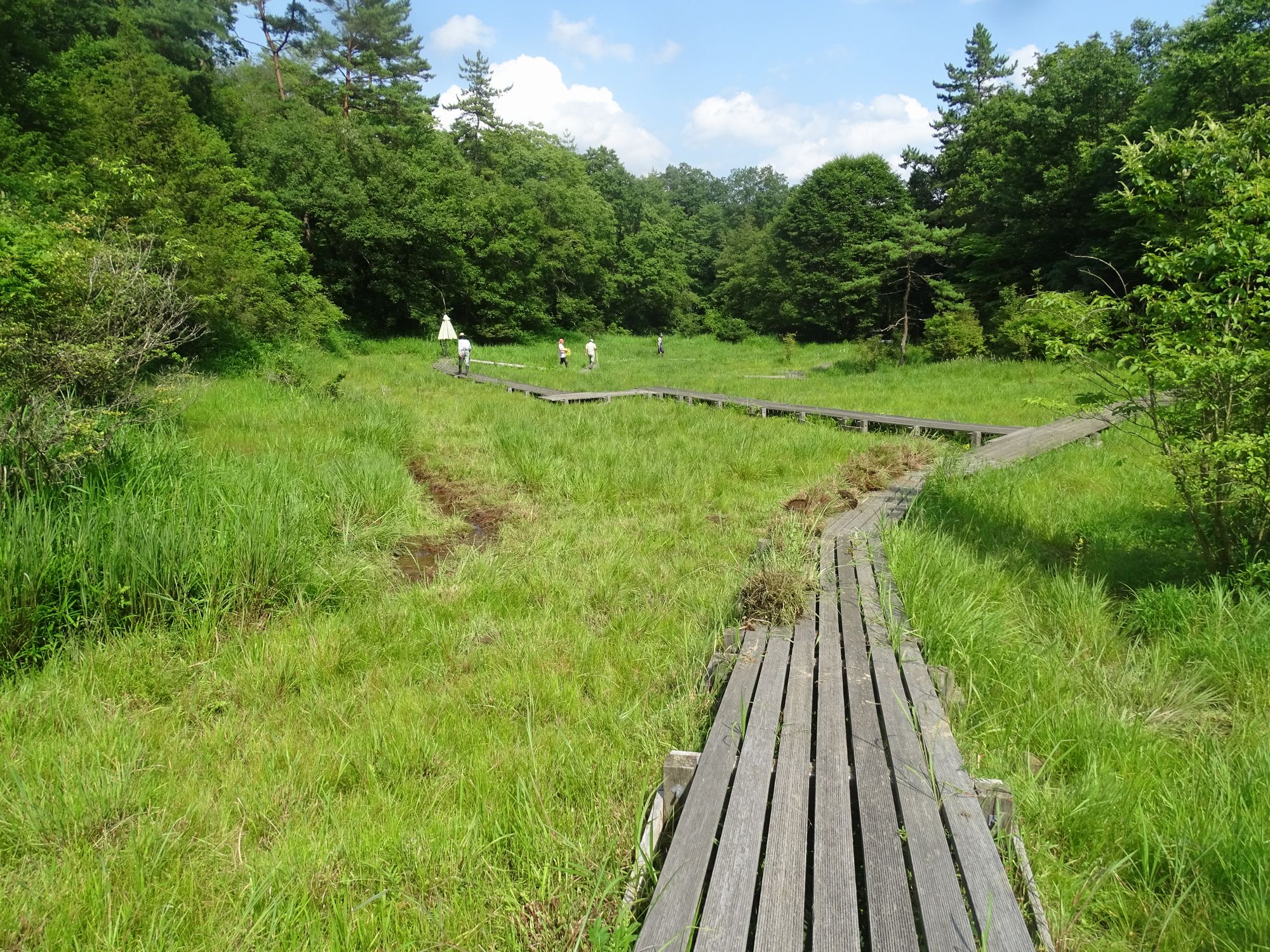 2021年度湿原の草取りPart１