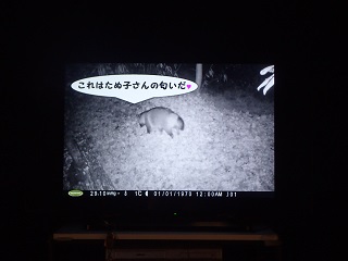 企画展「夜のセンターはけものの世界だった」