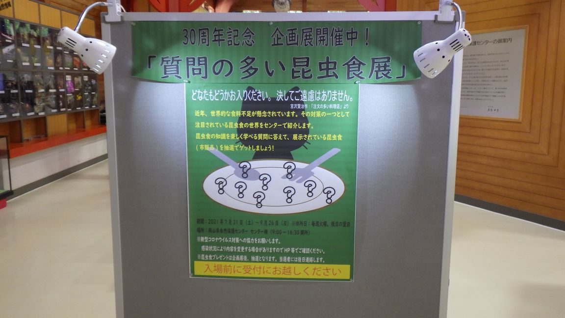 新企画展始まりました！