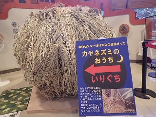 企画展「夜のセンターはけものの世界だった」