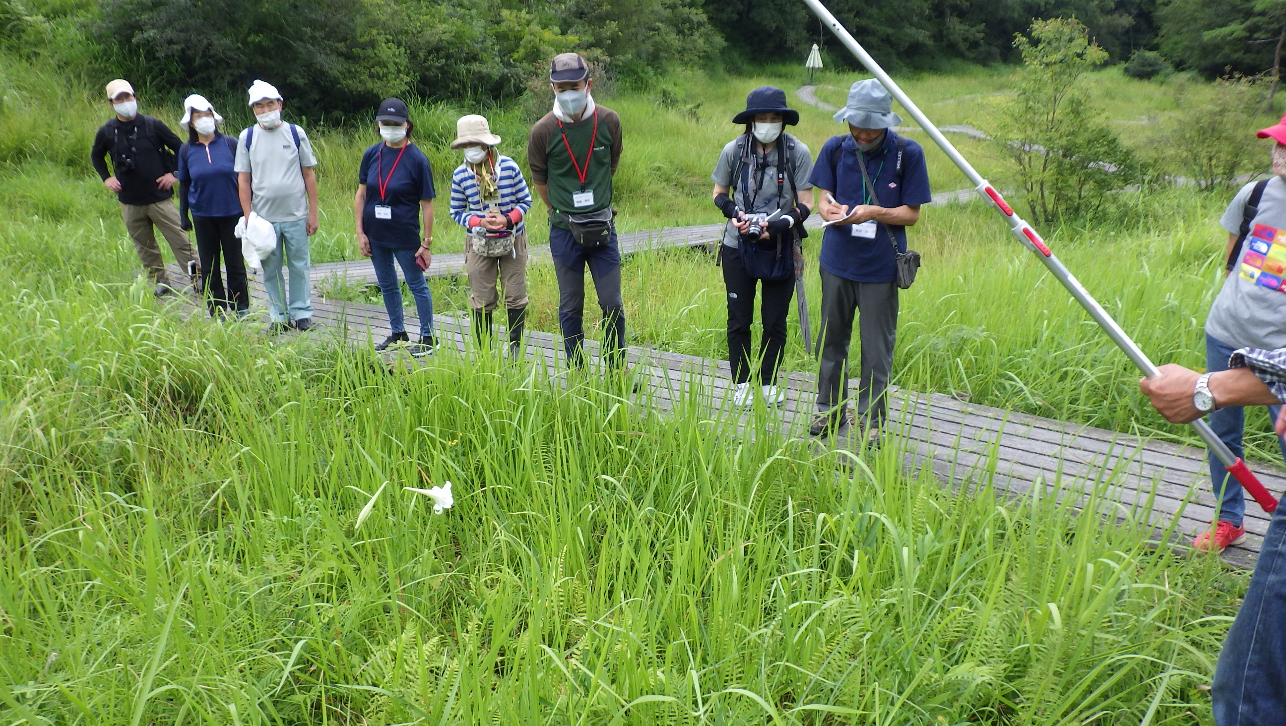 教授が教えるサギソウと湿原の草花