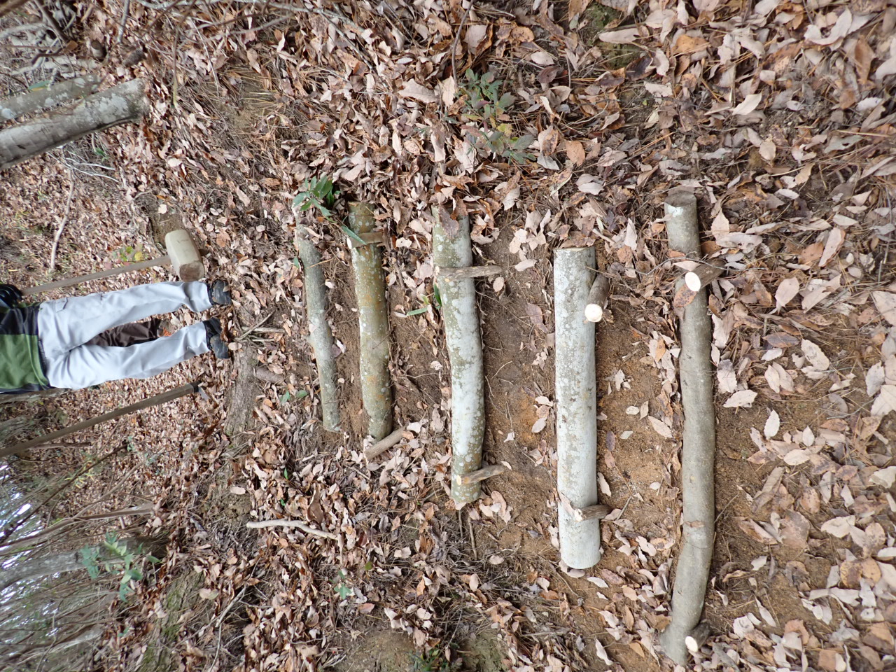 整備中の新しい広場で作業を行いました！