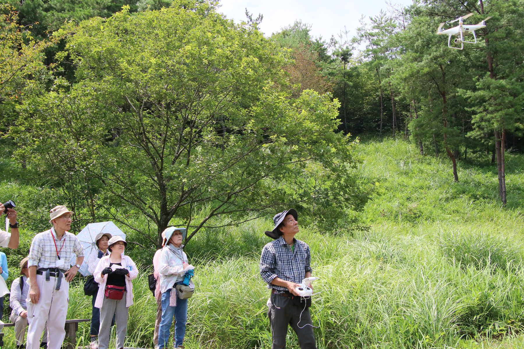 サギソウと湿原の草花♪