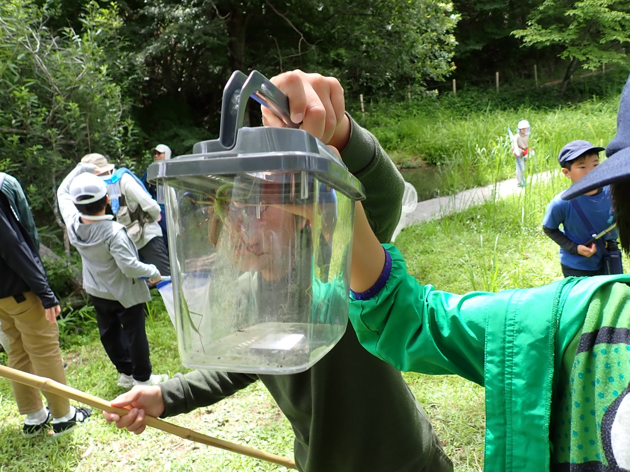 虫活しようぜ!食草・食樹から昆虫さがし