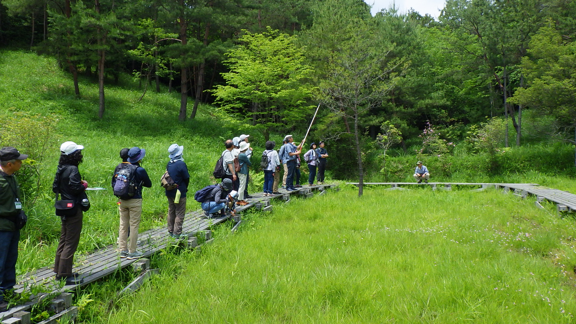 教授が教えるトキソウ観察会