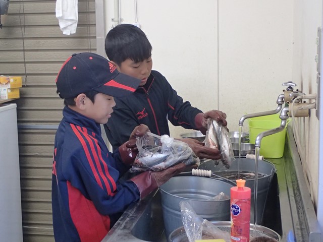 あなたの夢かなえちゃいます！タンチョウ飼育体験！