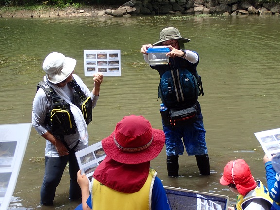 田尻大池で魚採り