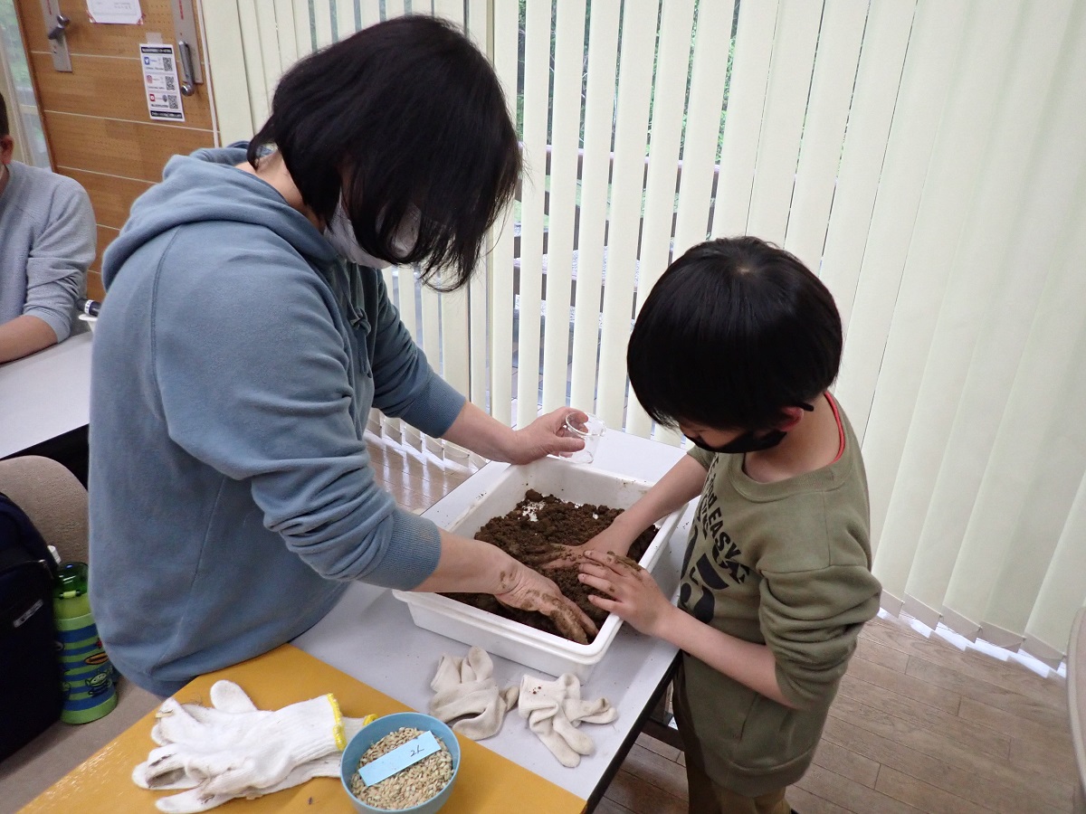 イベント「泥団子で米を作ろう!」やりました