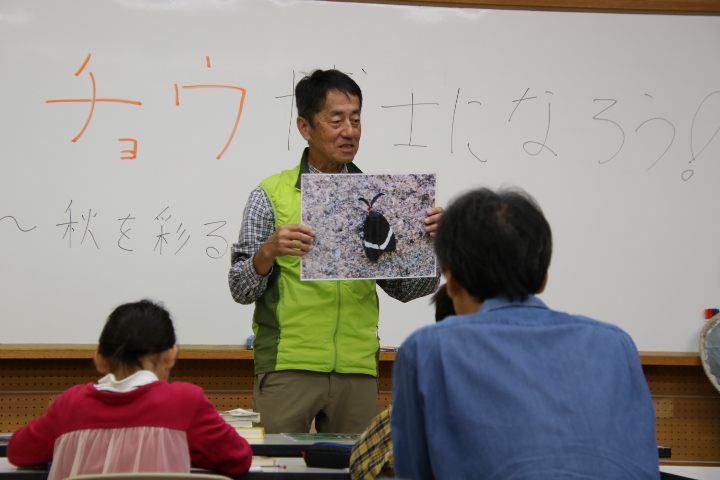 超チョウ博士になろう！～秋を彩る蝶々を探せ～