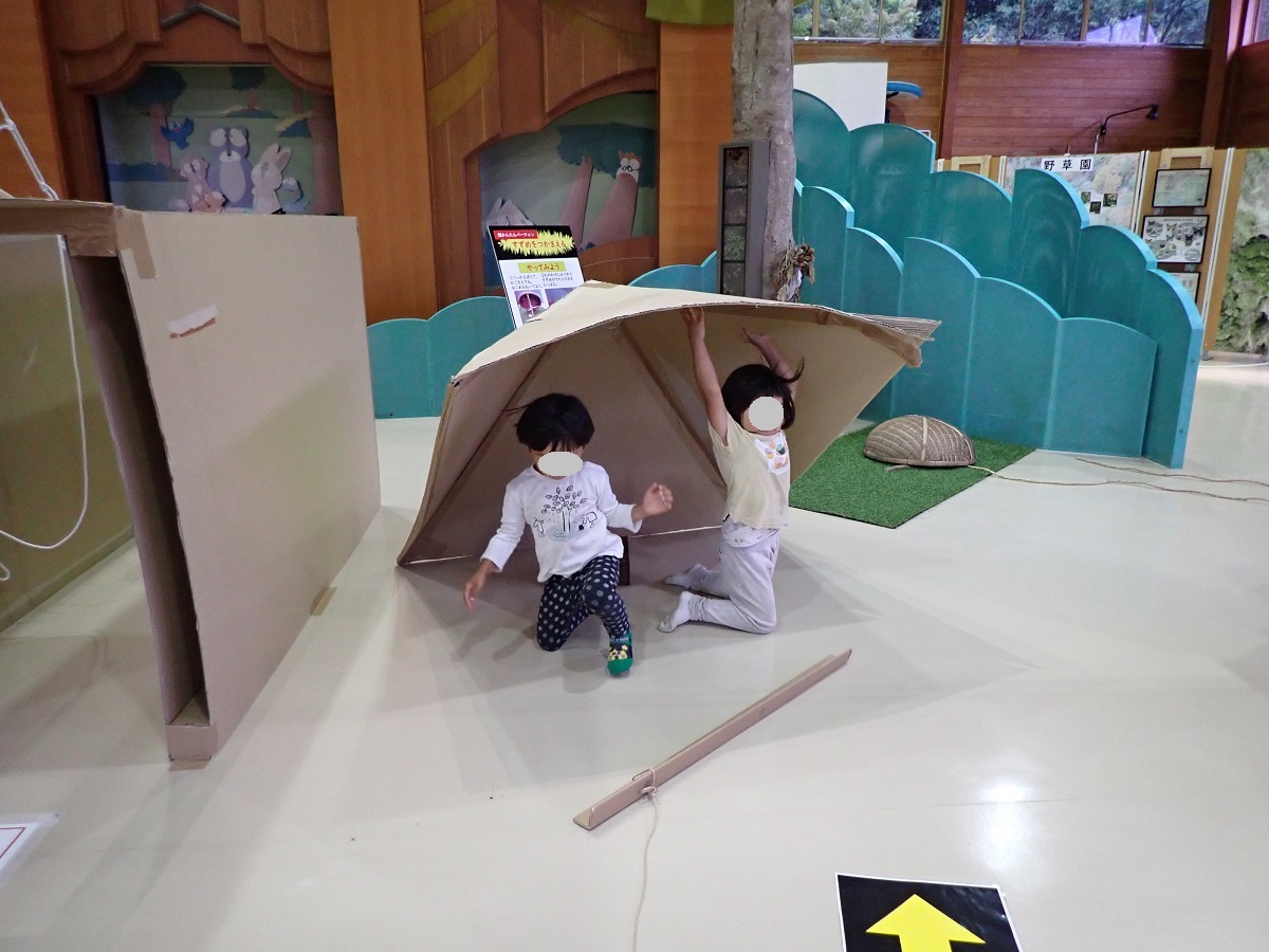 企画展　里山のサバイバル
