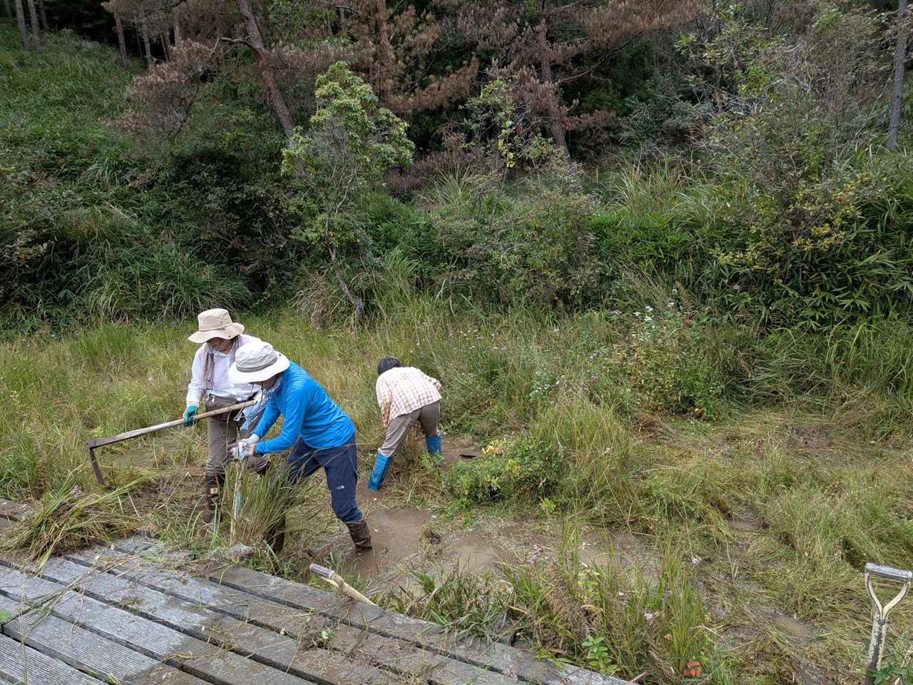 湿原の草取りを行いました！