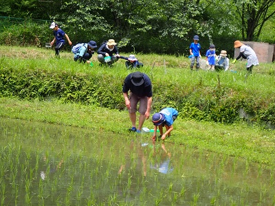 カエル観察会