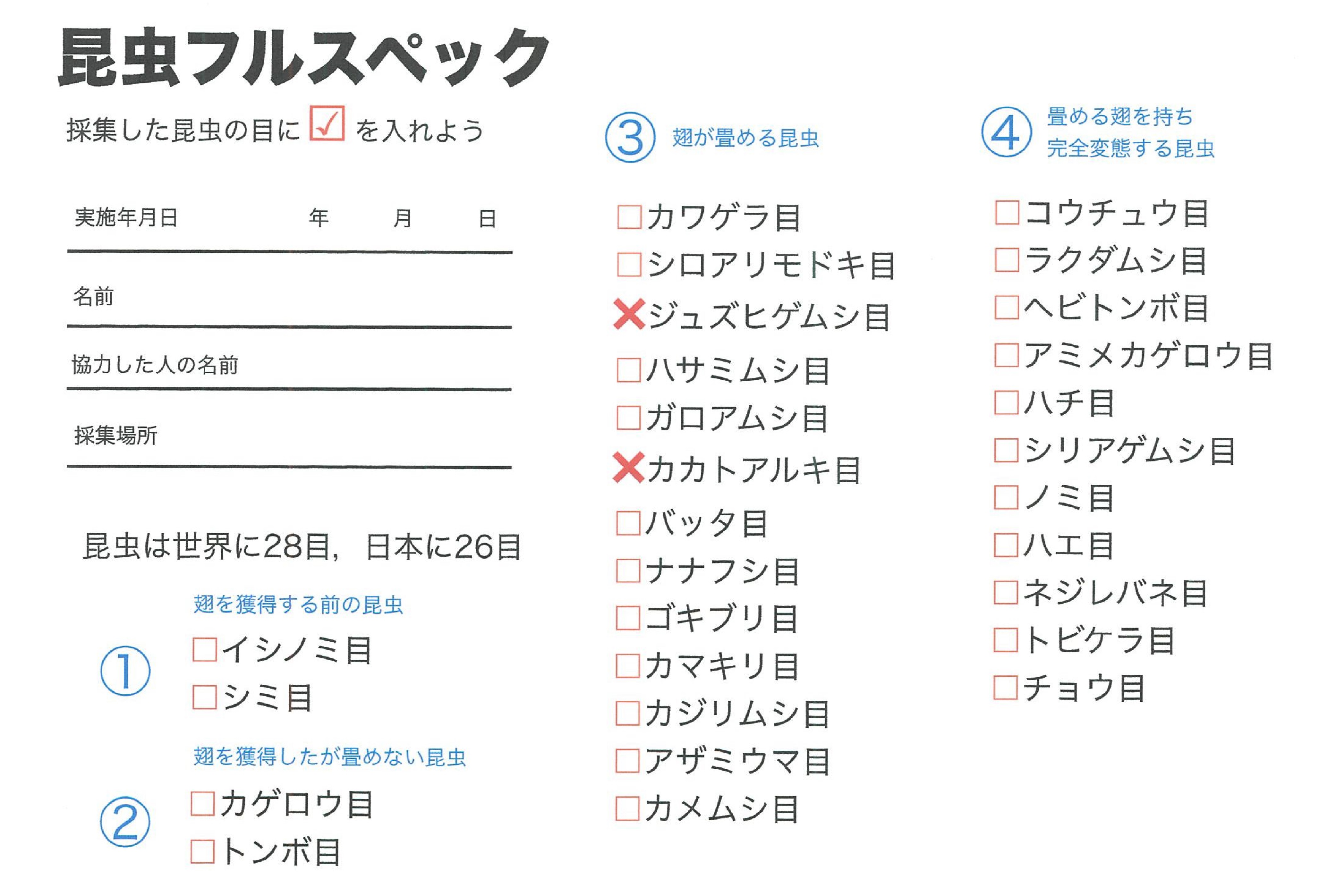 三連休 虫むしムシイベントやりきりました