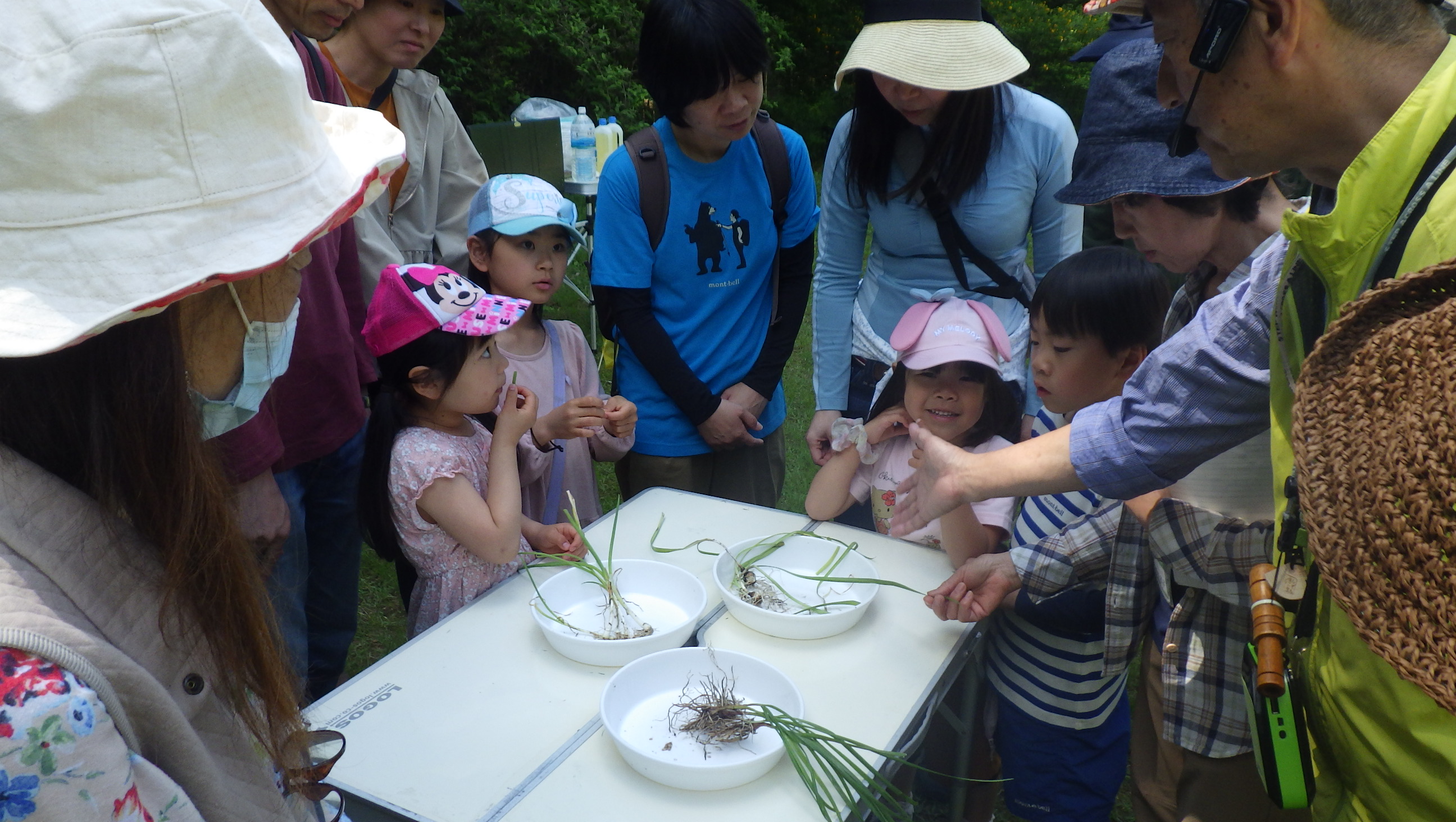 山菜調べと味比べ～食べて美味しい？食べたらヤバイ！？～