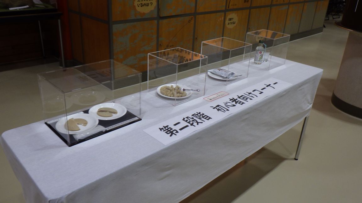 新企画展始まりました！