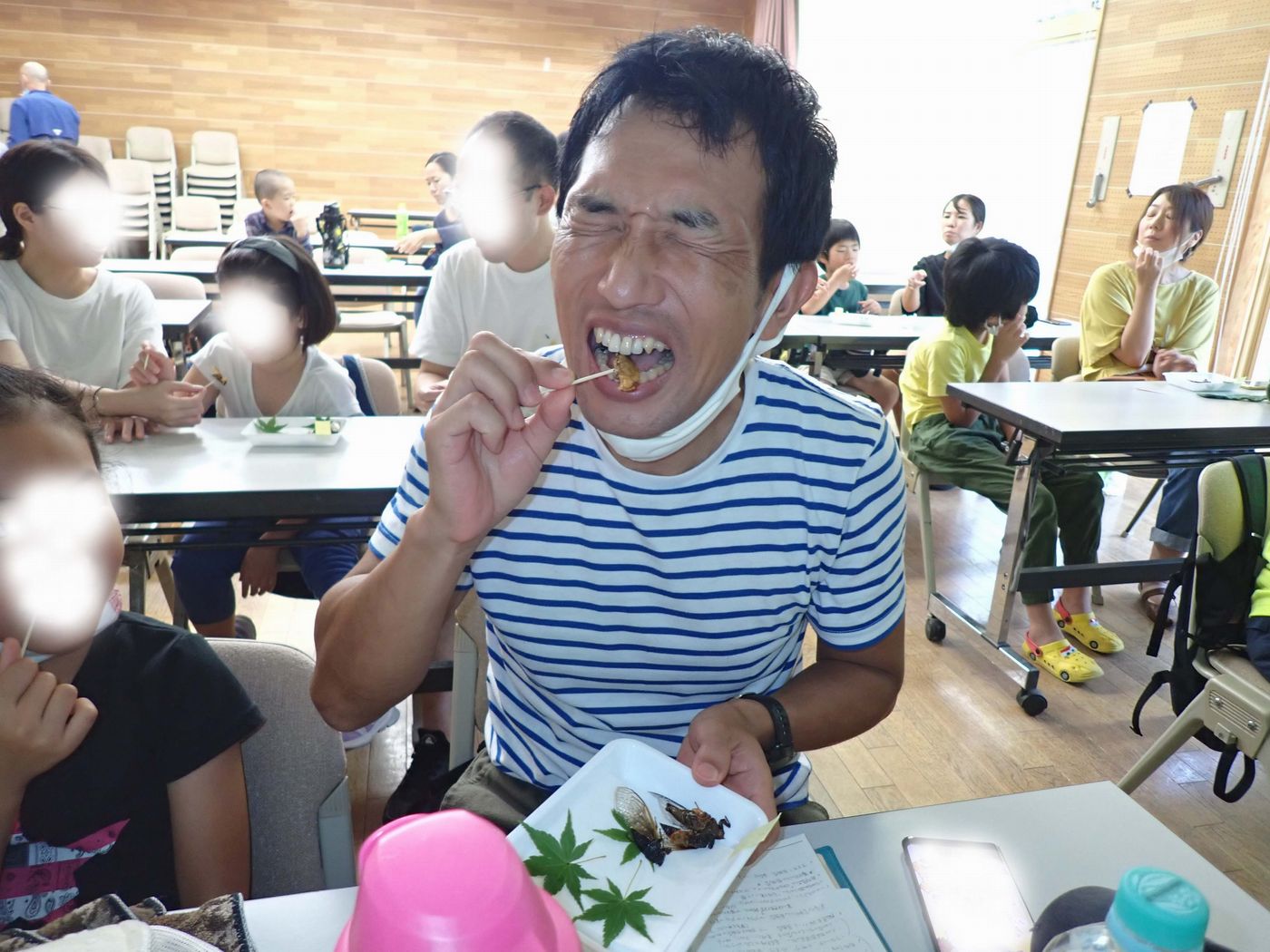 昆虫食、みんなで食べれば怖くない(セミ編)