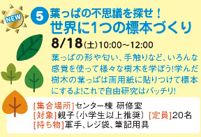 葉っぱの不思議を探せ！世界に1つの標本づくり