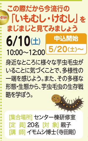 この際だから今流行の「いもむし・けむし」をまじまじと見てみましょう