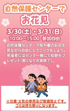 自然保護センターでお花見
