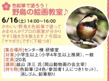 色鉛筆で塗ろう！野鳥の絵画教室♪