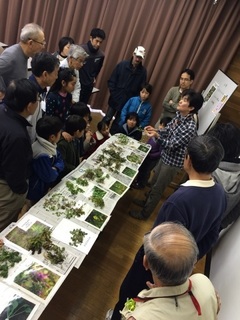 満喫自然体験「春の七草」