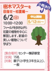 樹木マスターを目指せ～初夏編～