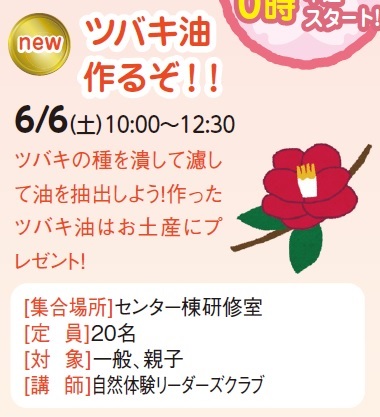 ツバキ油　作るぞ！！