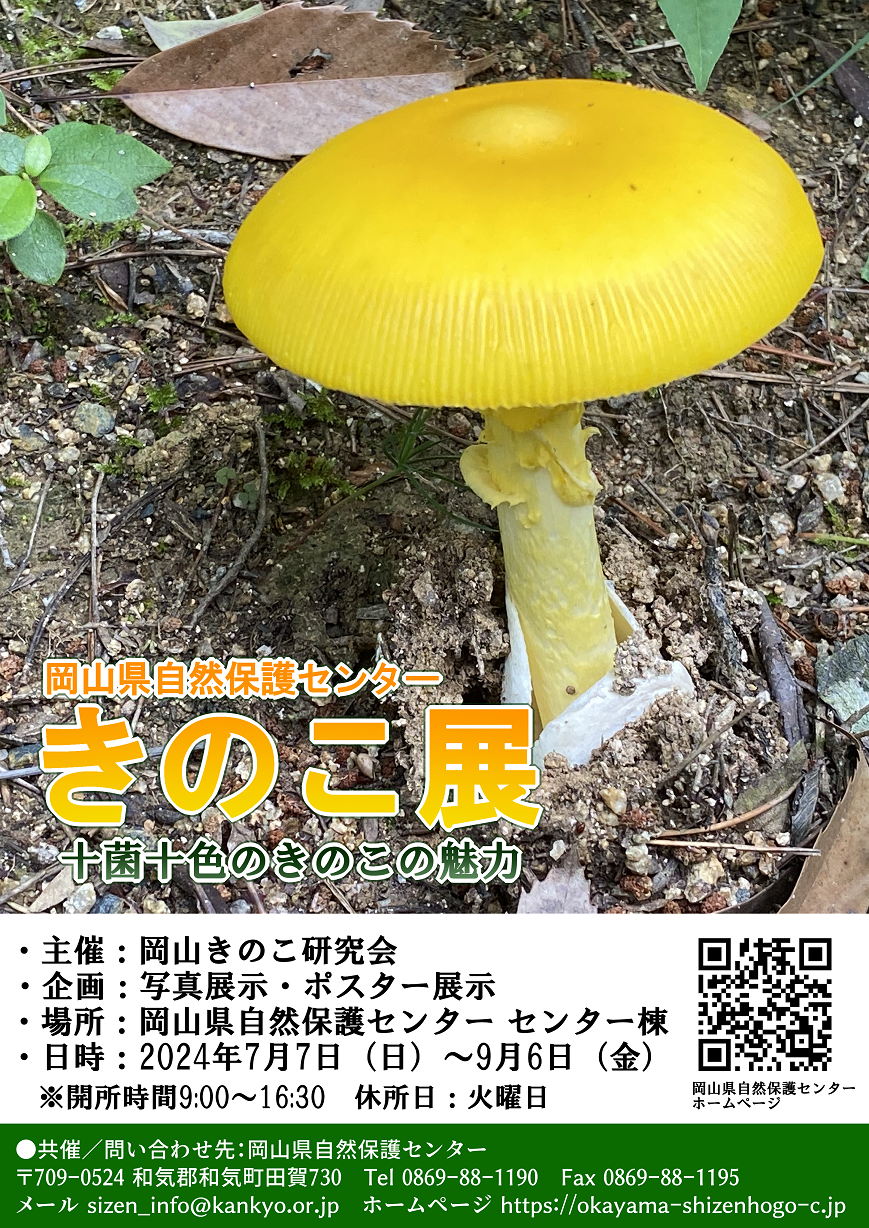 『おかやまのかたつむり』7/6~9/1&『きのこ展』7/7~9/6