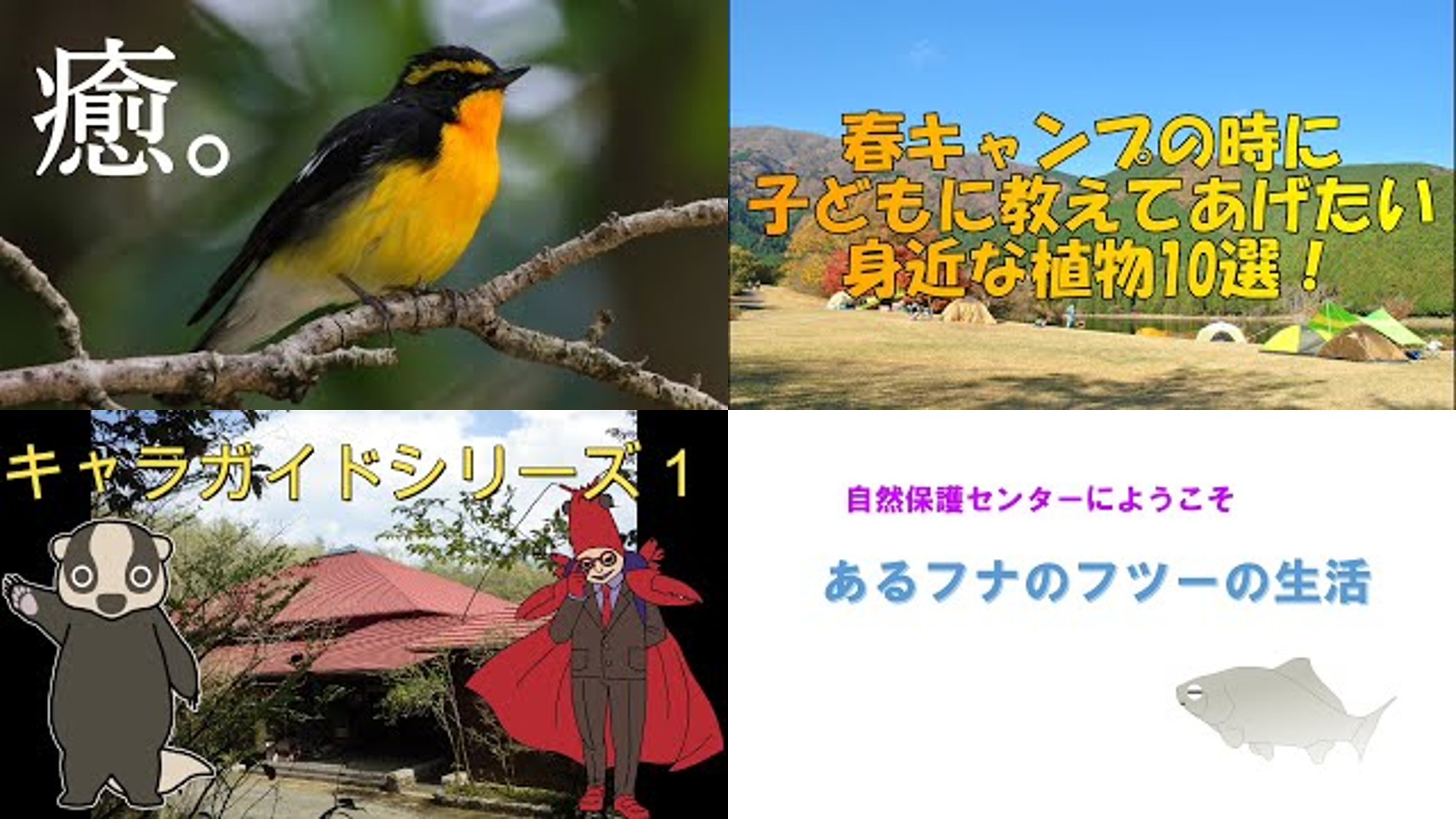 YouTubeとInstagram 、始めました!