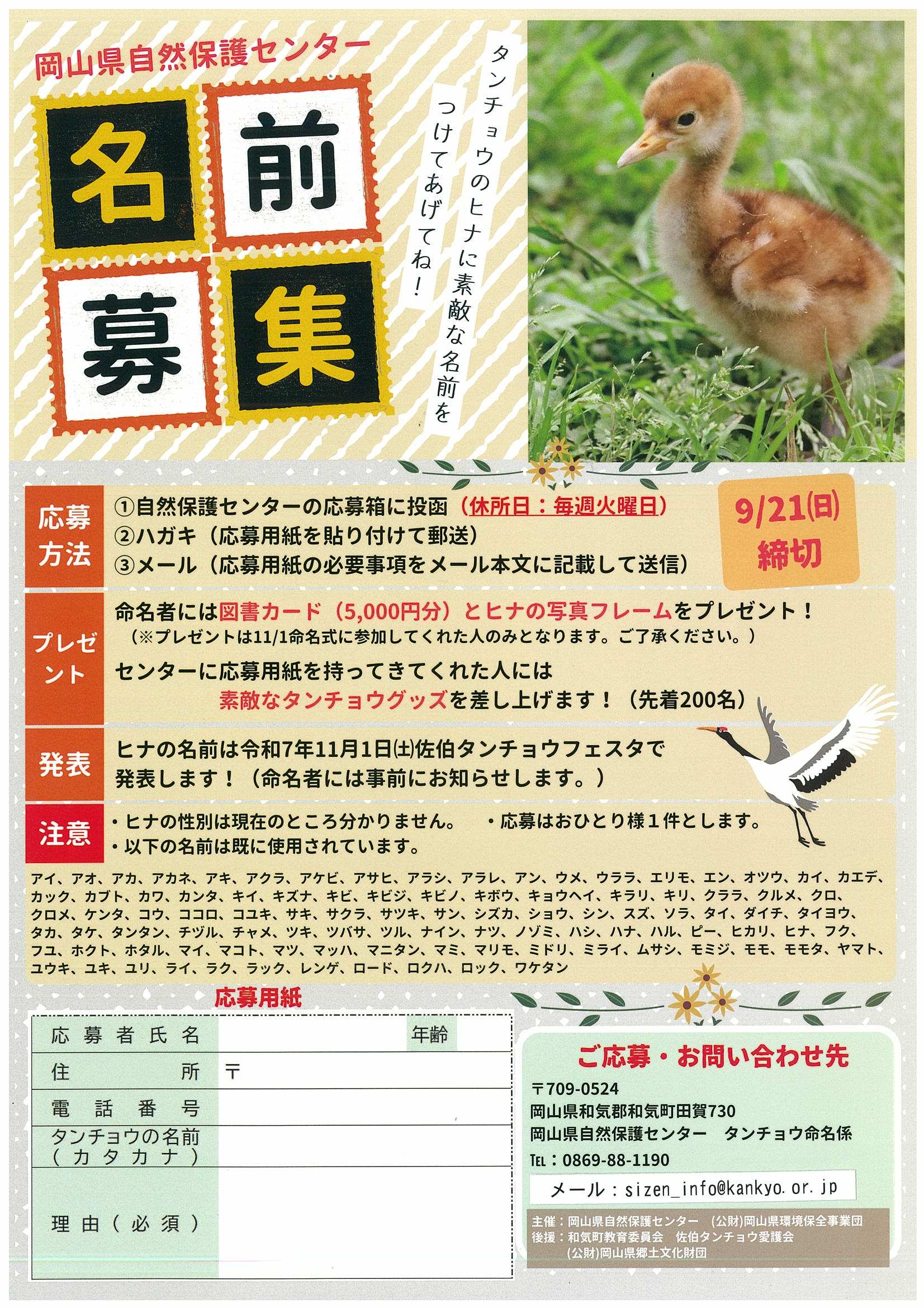 タンチョウのヒナの名前を募集中!~9/21(日)