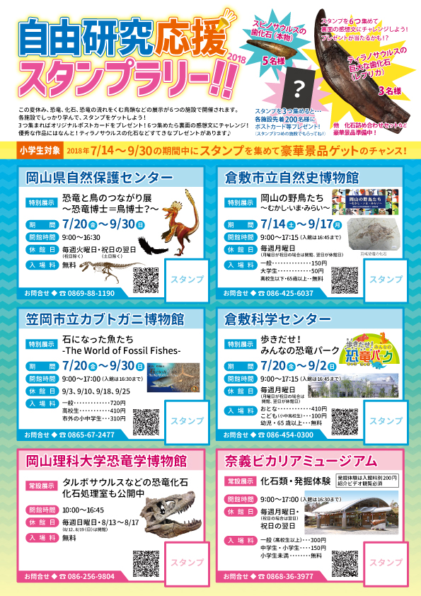 恐竜と鳥のつながり展 ~恐竜博士=鳥博士?~