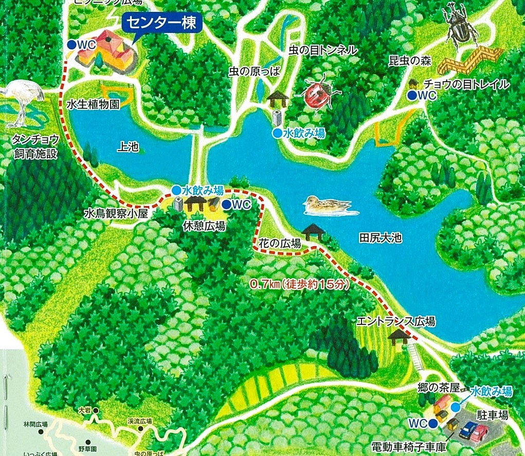 ■伐木作業のお知らせ■(令和8年2月24日～3月9日)