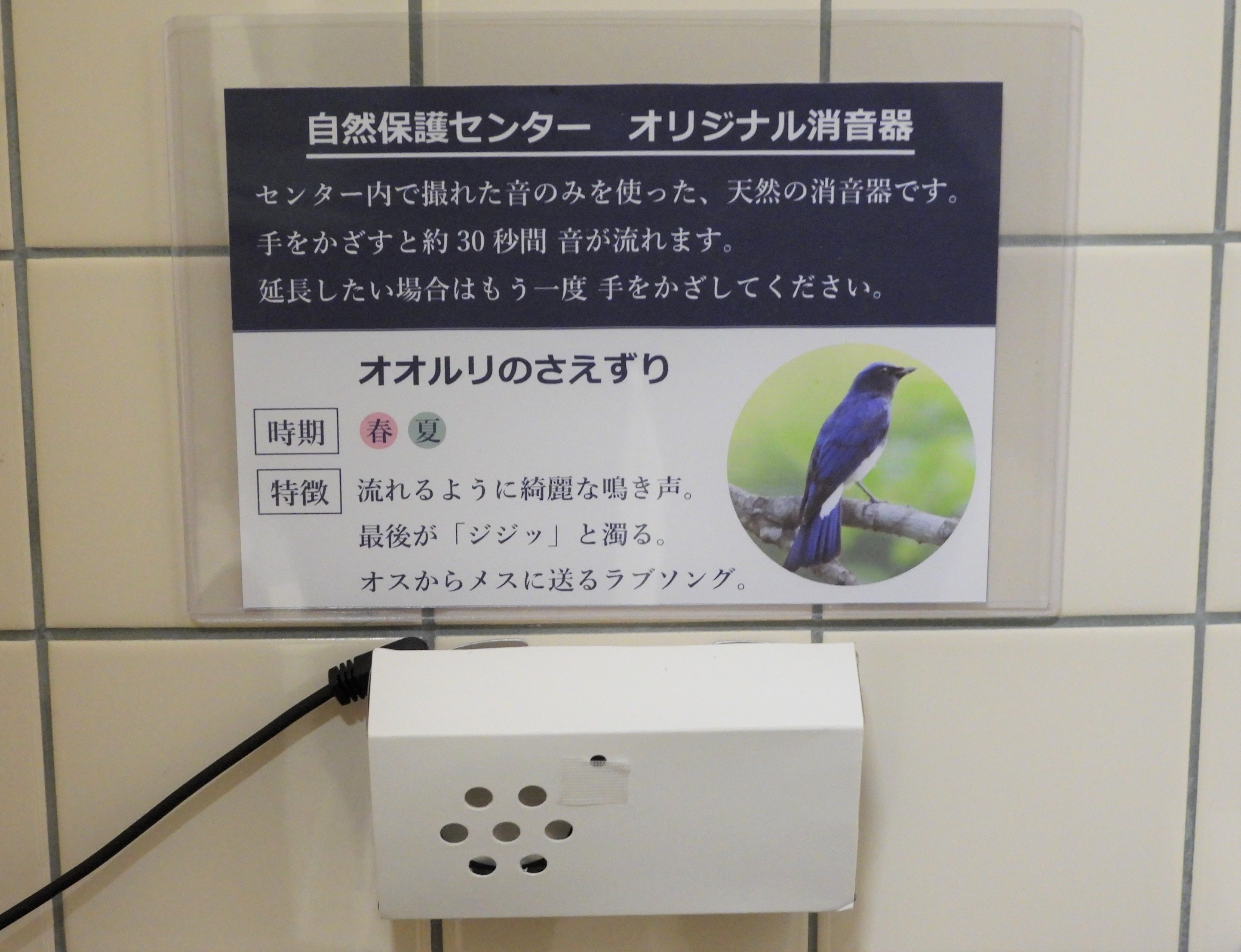 センター棟のトイレが…!?