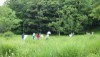 あつまれ　昆虫の森！～ゲームと同じことやってみた～【受付終了】