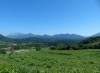 岡山県自然保護センター友の会バス観察会「のんびり・ゆっくり楽しむ蒜山高原」【受付締切】