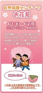 自然保護センターでお花見