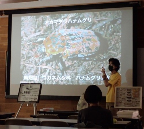社会人大学 生物学部「昆虫学科」（全5回）